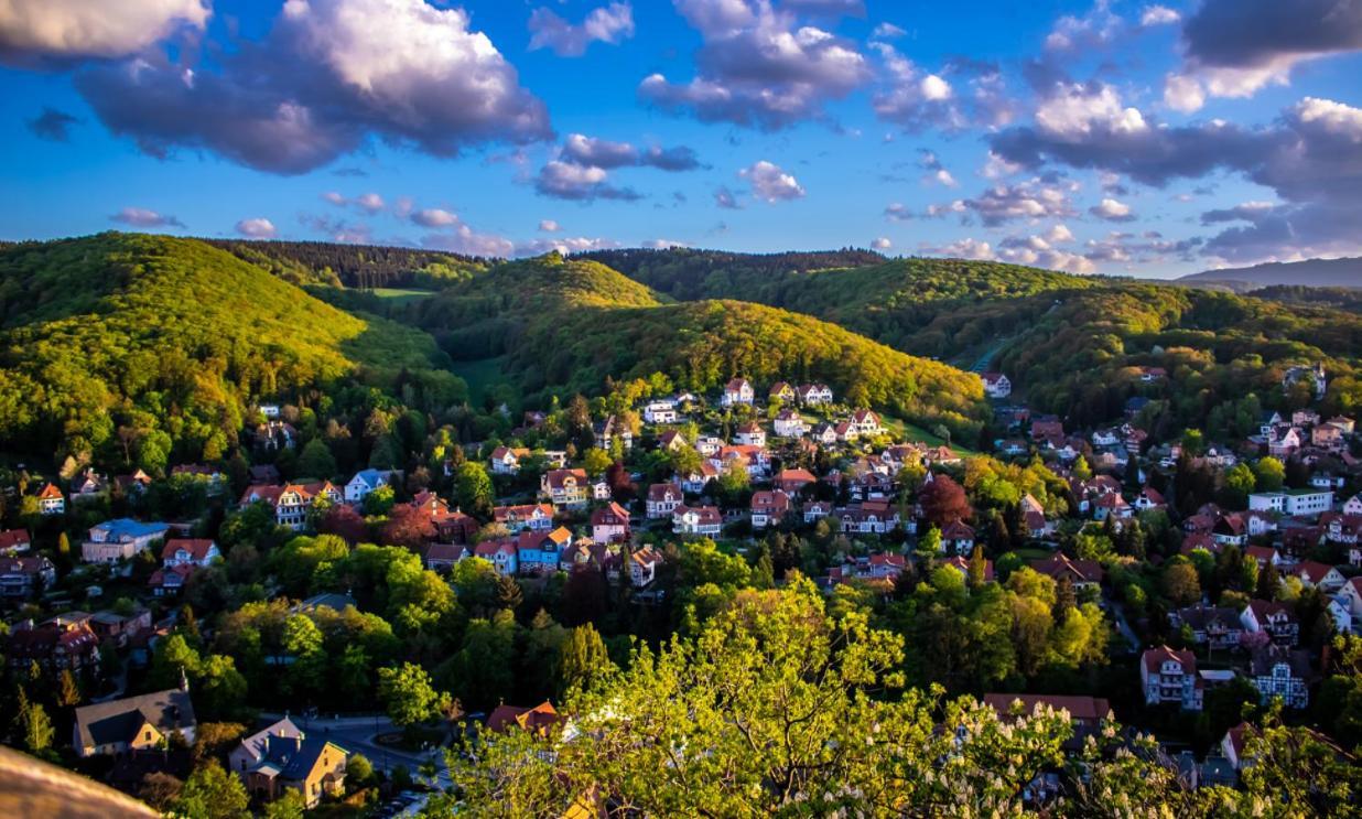 Chalet Mit Schlossblick Wernigerode, Chalet 2 Экстерьер фото
